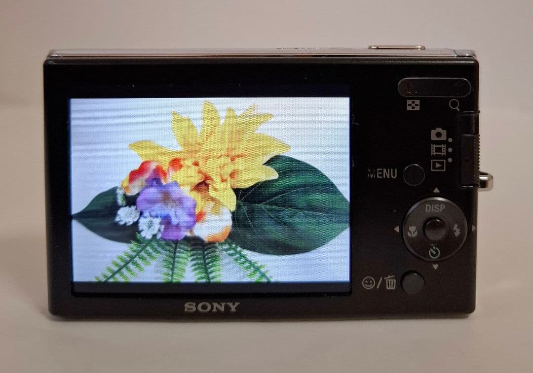 [準美品]ソニー SONY Cyber-Shot DSC-W190 コンデジ